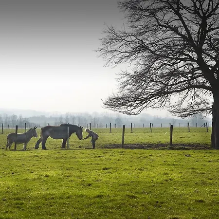 Hof Te Spieringen 4* Vollezele
